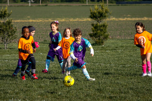 20250510_130531_0F3BC4A5.jpg