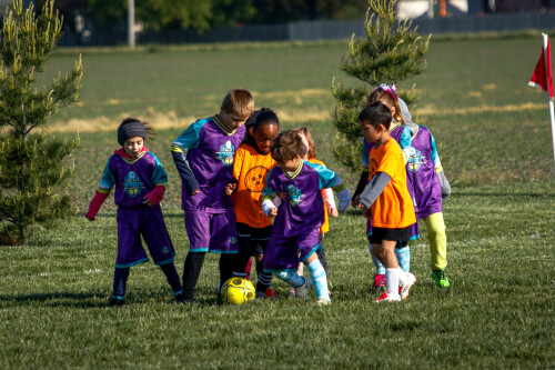 20250510_130813_54FF61C0.jpg