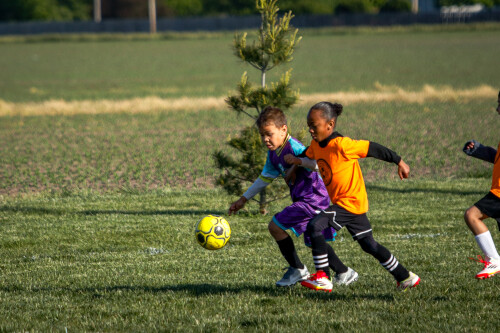 20250510_131016_AE4A5292.jpg