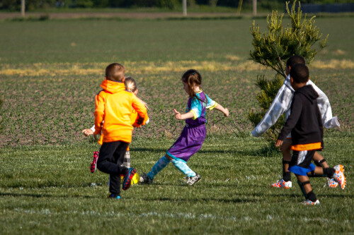20250510_131607_DAB6C28D.jpg