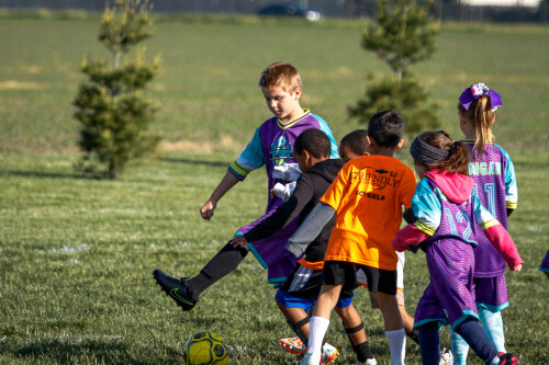 20250510_132237_8973CCF9.jpg