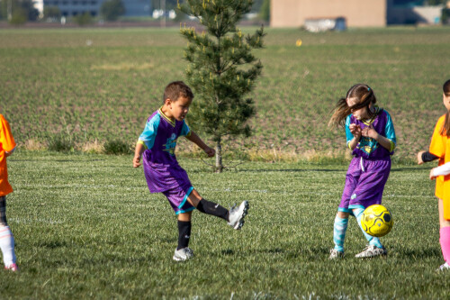 20250510_133457_055E9C22.jpg