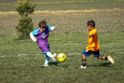 20250510_133639_4965E38F.jpg