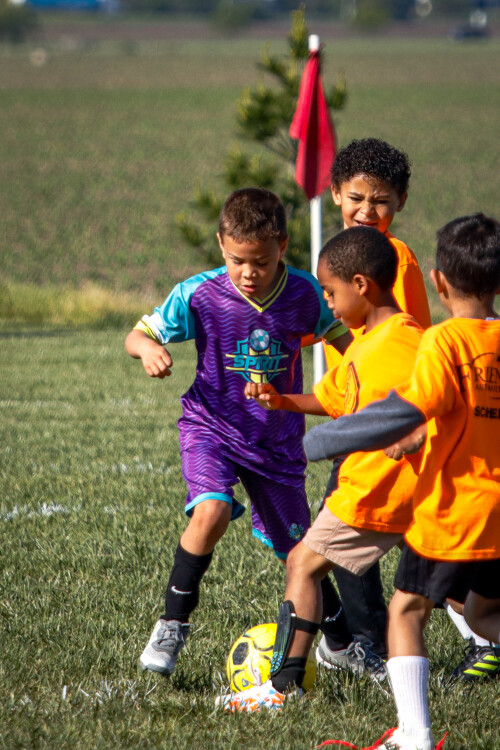 20250510_134335_F0FB1179.jpg